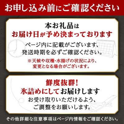 【関東限定企画】延岡産 日向灘育ち!活〆真鯛のお刺身400g～500g【さとふる限定】