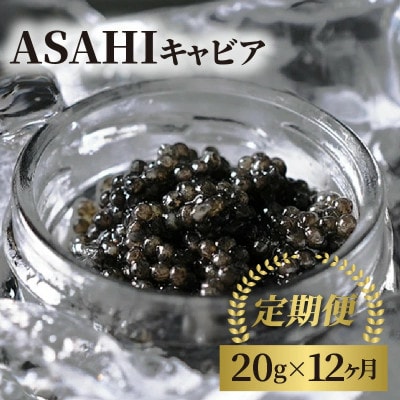 【毎月定期便】ASAHIキャビア 20g(延岡市)全12回