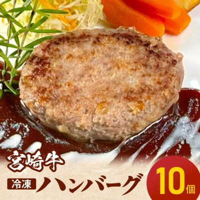 宮崎牛ハンバーグ100g×10個