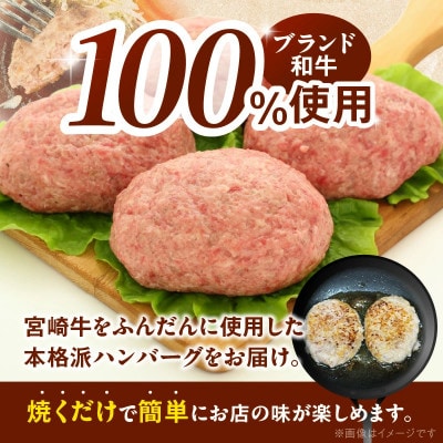 宮崎牛ハンバーグ100g×10個