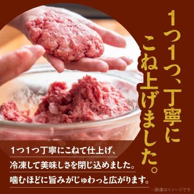 宮崎牛ハンバーグ100g×10個