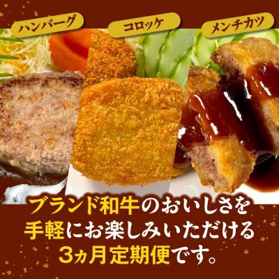 【毎月定期便】宮崎牛シリーズ(ハンバーグ・コロッケ・メンチカツ)全3回