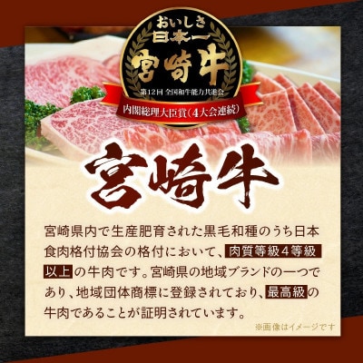 【毎月定期便】宮崎牛シリーズ(ハンバーグ・コロッケ・メンチカツ)全3回