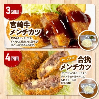 【毎月定期便】便利な個包装シリーズ(コロッケ・メンチカツ・ハンバーグ)全6回