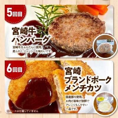 【毎月定期便】便利な個包装シリーズ(コロッケ・メンチカツ・ハンバーグ)全6回