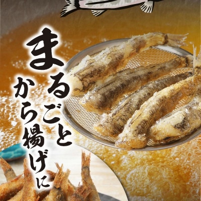 【訳あり】天然めひかり(極小サイズ) 500g×4袋