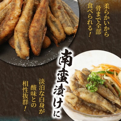 【訳あり】天然めひかり(極小サイズ) 500g×4袋