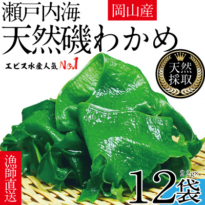 風味豊かな 瀬戸内 わかめ 22g&times;12袋 エビス水産 [No.5735-1279]