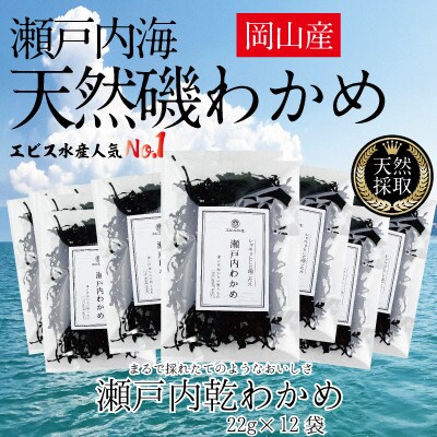 風味豊かな 瀬戸内 わかめ 22g×12袋 エビス水産　[No.5735-1279]