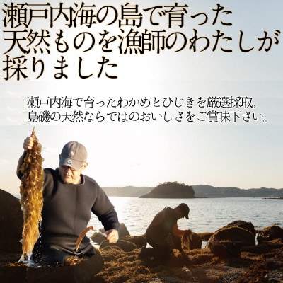 瀬戸内で採れた島磯香るわかめ 22g×7袋とひじき28g×8袋 セット[No.5735-1289]