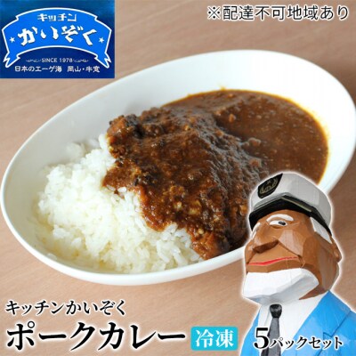 冷凍 ポーク カレー 5パック セット キッチンかいぞく  B級グルメ[No.5735-1827]