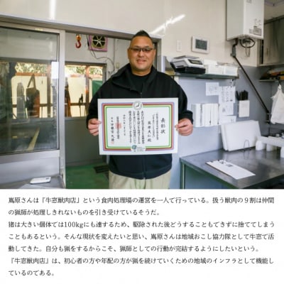 瀬戸内 特選 ジビエ 「 猪肉 ミンチ BOX(300g×3セット)」[No.5735-1941]