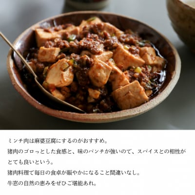 瀬戸内 特選 ジビエ 「 猪肉 ミンチ BOX(300g×3セット)」[No.5735-1941]