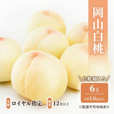 岡山 白桃 6玉  (1.6kg以上) 等級:ロイヤル/糖度:12度以上[No.5735-1924]