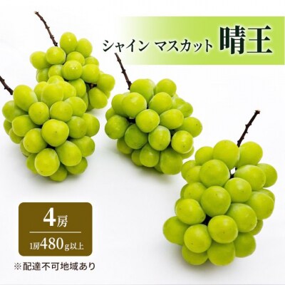シャイン マスカット 晴王 4房  (1房 480g以上) 岡山県産 [No.5735-1927]