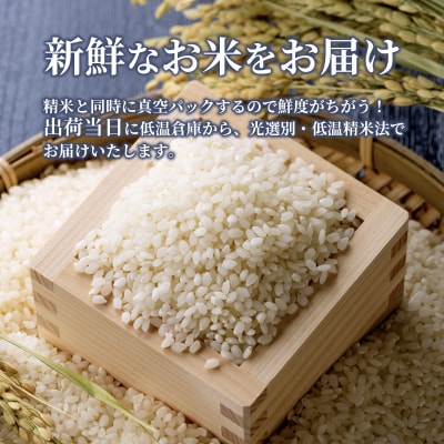 米 令和5年 安芸高田市産 こしひかり 真空パック 8kg[No5895-0345]