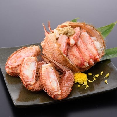 【さとふる限定】オホーツク産【厳選】浜ゆで毛ガニ 500g×2尾入【HT0004】