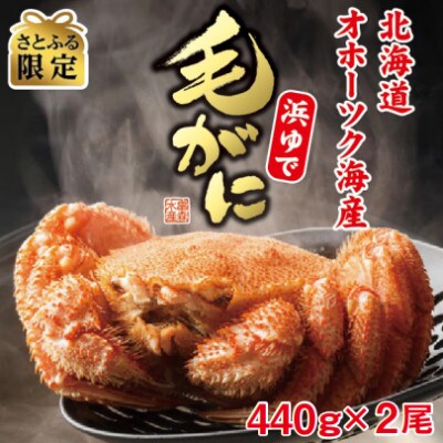 【さとふる限定】オホーツク産【厳選】浜ゆで毛ガニ 440g×2尾入【HT0005】