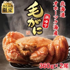 【さとふる限定】オホーツク産【厳選】浜ゆで毛ガニ 360g×2尾入【HT0008】
