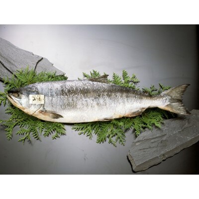 オホーツク雄武町前浜産　「雄宝」オス山漬鮭(約2.5kg)1尾　※長期熟成品※【G1515】