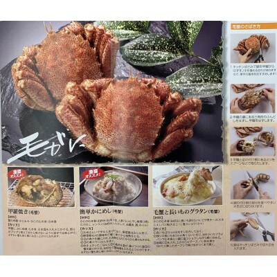 【3月下旬～4月中旬受付】北海道オホーツク海産 朝ゆで毛ガニ400g×2尾(冷蔵)【G07124】