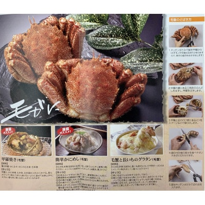 【3月下旬～4月中旬受付】北海道オホーツク海産 訳あり朝ゆで毛ガニ 2kg(冷蔵)【G07122】