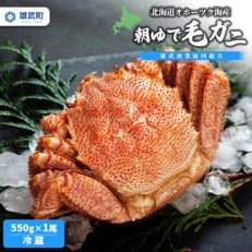 【3月下旬～4月中旬受付】北海道オホーツク海産 朝ゆで毛ガニ550g&times;1尾(冷蔵)【G07123】