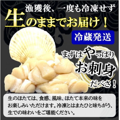 【北海道限定!生ほたて】北海道雄武産 生玉ほたて 300g×2 塩水パック(冷蔵)【G07152】