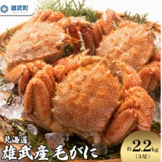 北海道 雄武産毛蟹 合計約2.2kg (約750g&times;3尾) 冷凍【K12253】