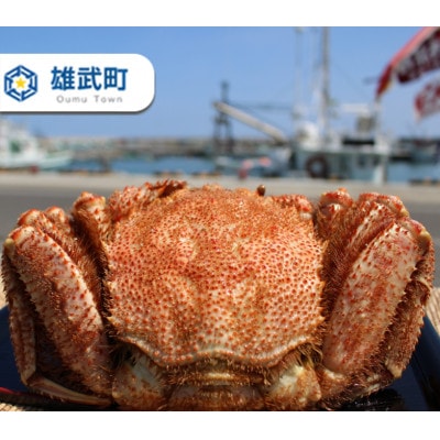 朝ゆで直送!海明けチルド毛蟹 計約1.2kg(2尾入) オホーツク雄武産【K12397】