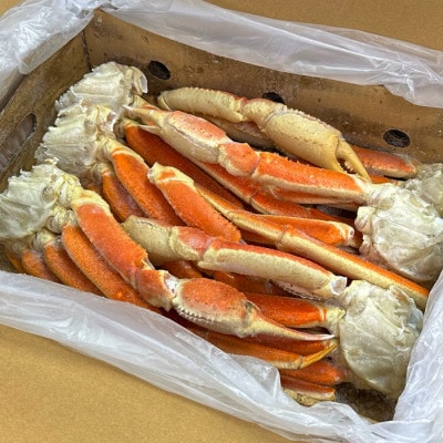 プラチナランク本ズワイガニ　1.5kg【K12153】