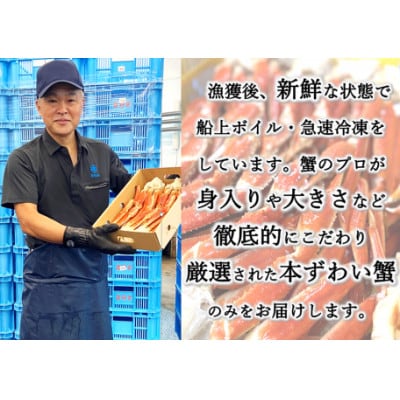 プラチナランク本ズワイガニ　1.5kg【K12153】