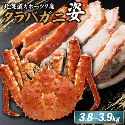 北海道オホーツク産 冷タラバガニ姿　3.8～3.9kg【1241701】