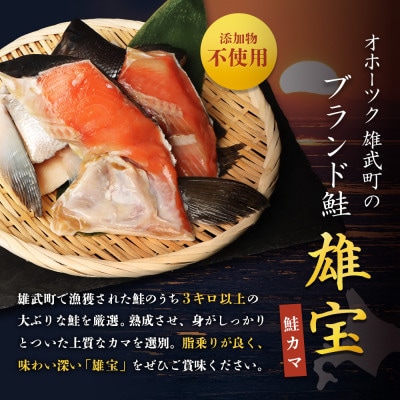 北海道雄武産 【雄宝】山漬鮭 鮭カマ(2切×5袋)【1221001】