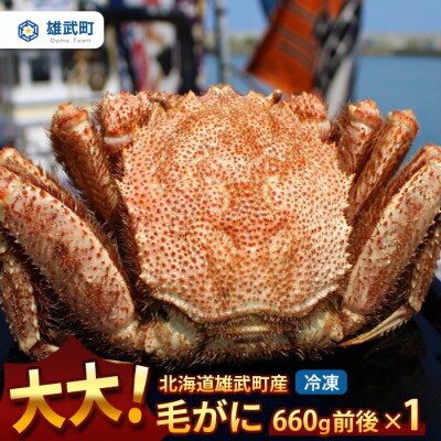 大大!毛がに(冷凍)北海道雄武町産(660g前後×1)【1240302】