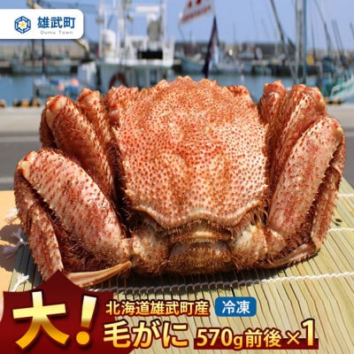 大!毛がに(冷凍)北海道雄武町産(570g前後×1)【1240201】
