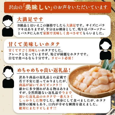 北海道雄武町産　ほたて貝柱(冷凍)Bフレーク 1kg[訳あり品]【1235602】