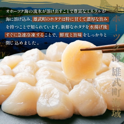 北海道雄武町産ホタテ貝柱2kg訳アリ小分けAフレーク(500g×4)【1235303】