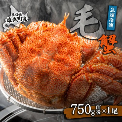 【北海道雄武町産】毛がに(冷凍)(750g前後×1)【1240601】