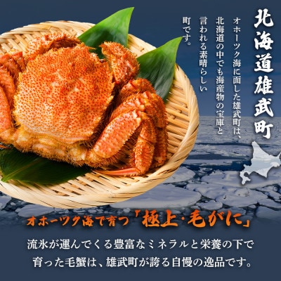 【北海道雄武町産】毛がに(冷凍)(750g前後×1)【1240601】
