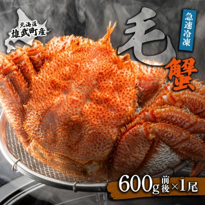 【北海道雄武町産】毛がに(冷凍)(600g前後×1)【1240702】