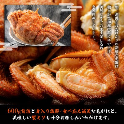 【北海道雄武町産】毛がに(冷凍)(600g前後×1)【1240702】