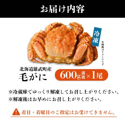 【北海道雄武町産】毛がに(冷凍)(600g前後×1)【1240702】