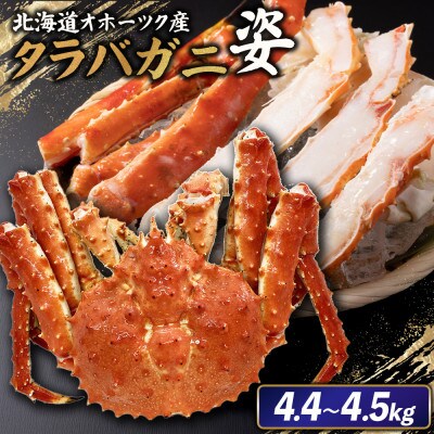 北海道オホーツク産 冷タラバガニ姿　4.4～4.5kg【1241401】