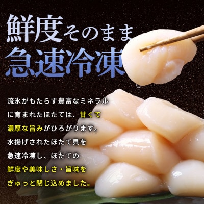 北海道雄武町産　ほたて貝柱(冷凍)5S 500g【12441】