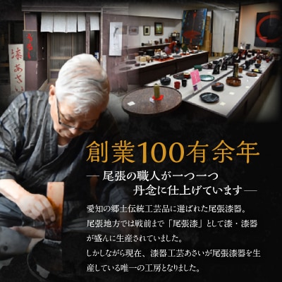 尾州塗桐小判盆[021A06]
