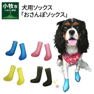 犬用ソックス 「おさんぽソックス」(11)Sサイズ×ブルー[030M07-11]
