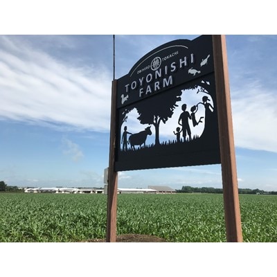 豊西牛 本格もつ鍋 ギフト 贈答用 濃厚味噌