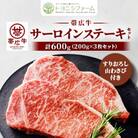 帯広牛 サーロイン ステーキ セット 計600g(200g×3枚)すりおろし山わさび付き