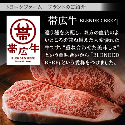 雪美和牛・帯広牛・豊西牛　豪華3種ステーキ食べ比べセット